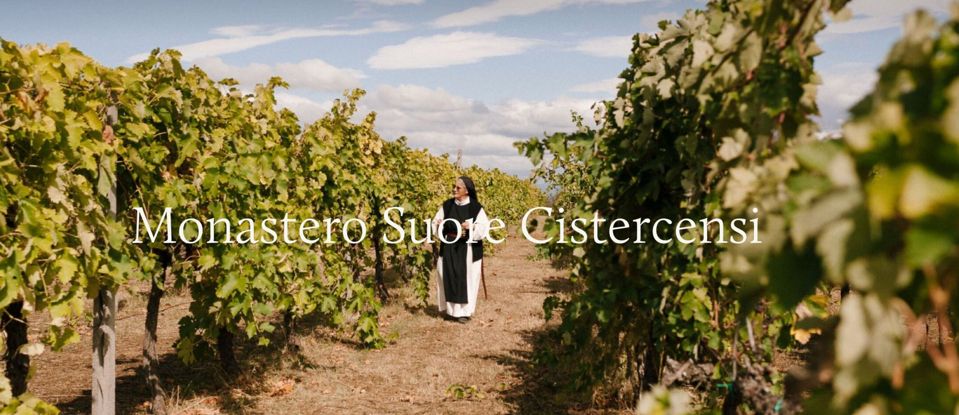 Monastero Suore Cistercensi - Coenobium 'Ruscum' 2022 - Honest Bottle Shop